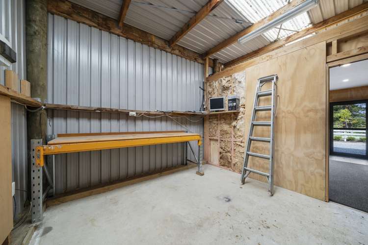 32b Kaitoke Loop Kaitoke_14