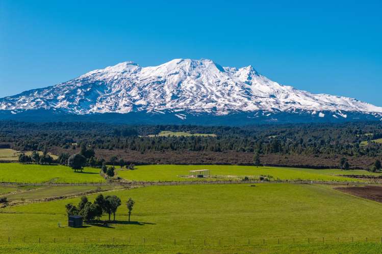 Lot 11 Matapuna Road Horopito_13