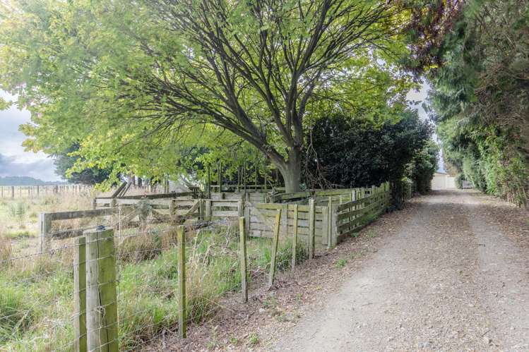 47 Boytes Road Dannevirke_17