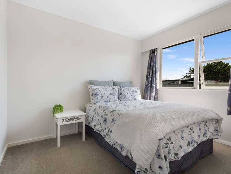 56 Alexander Avenue Onekawa_13