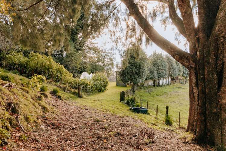 1164 Maniatutu Road Pongakawa_31