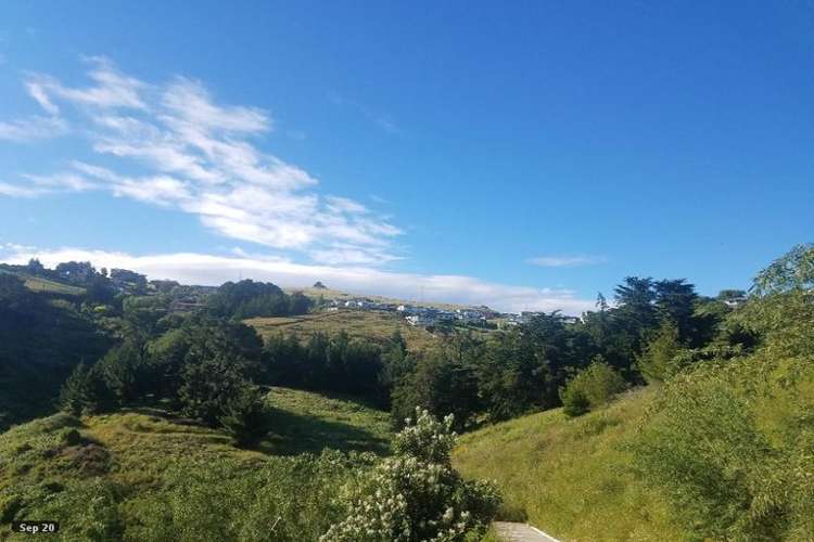 271 Mount Pleasant Road Mount Pleasant_7