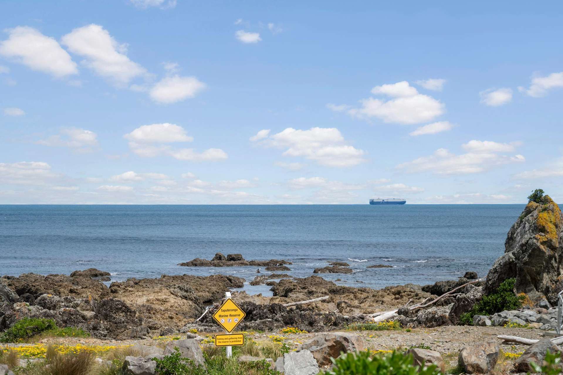 392 The Esplanade Island Bay_0