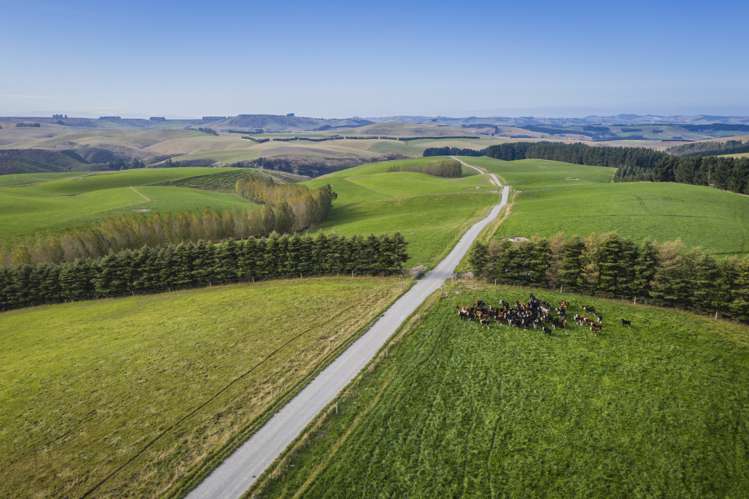 98 Johnstons Road Five Forks and Surrounds_8