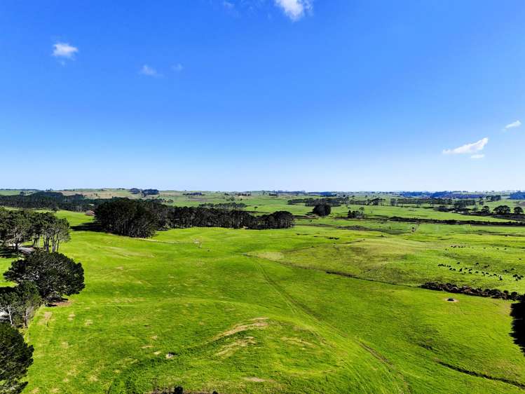 60 Scarrott Road Te Kopuru_19
