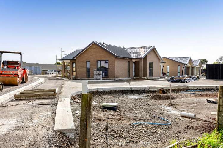 47-61 Puriri Street_2