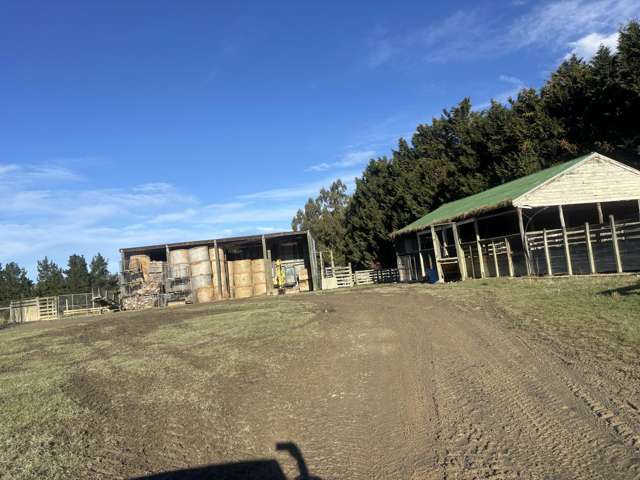 455 Albury Fairlie Road Mackenzie Country_3