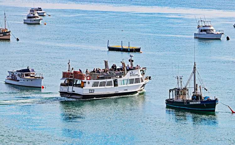 1006/72 Devonport Road_21