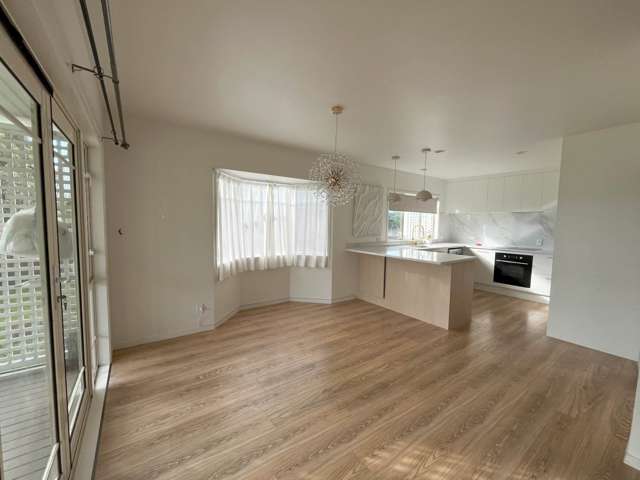 55 Wingate Street Avondale_3