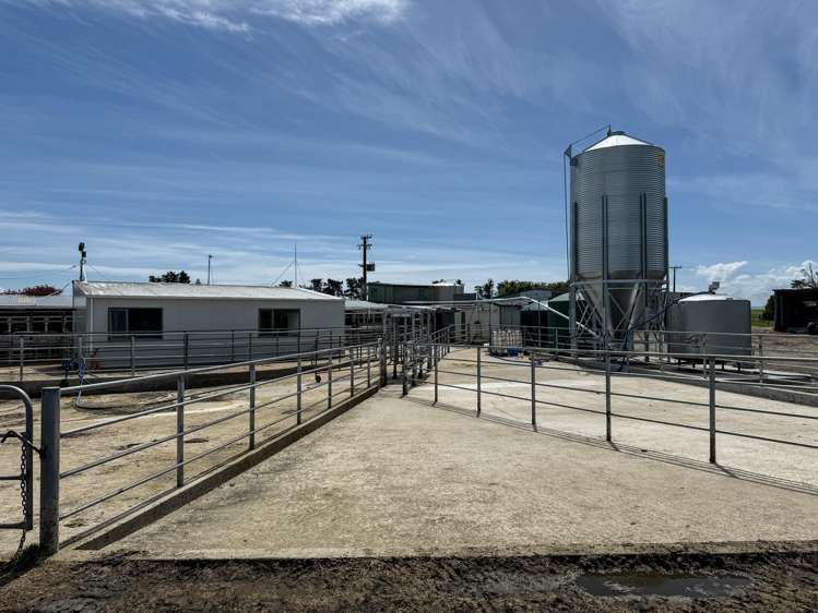 403 Island Edendale Road Wyndham Surrounds_3