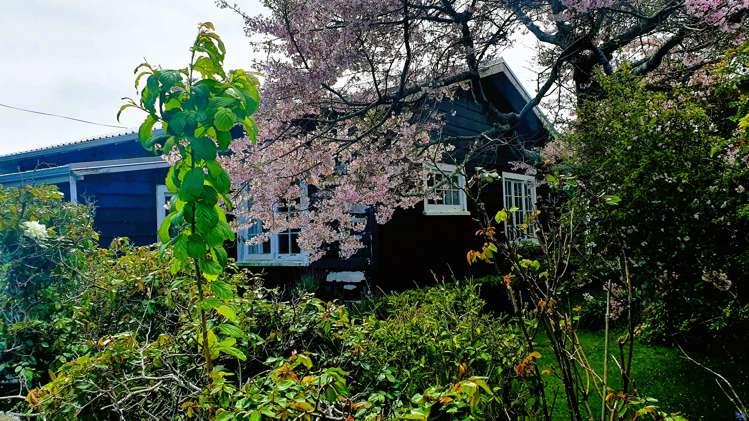 2 Hoyle Place New Plymouth Central_25