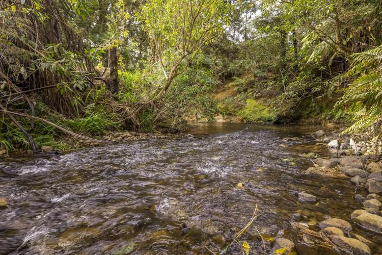 44 Walker Road West Katikati_1