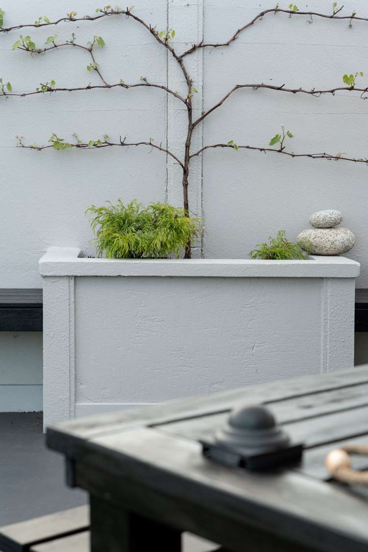 6 Palazzo Drive Papamoa_25