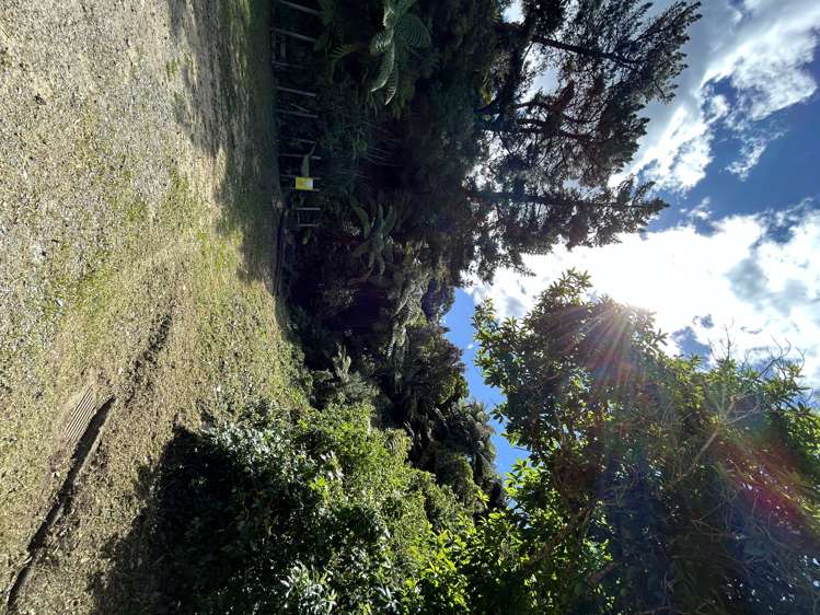 11 Gribble Grove Stokes Valley_6