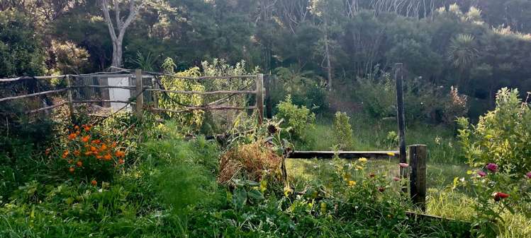 62 Kaitoke Lane Great Barrier Island_5