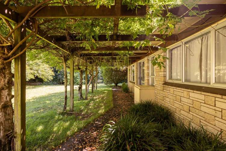 236 Willoughby Road Tahawai_40