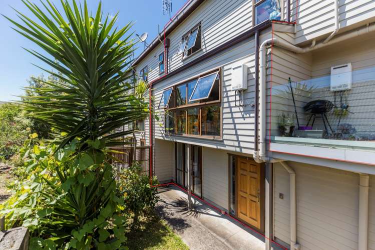 266e Manukau Road Epsom_0