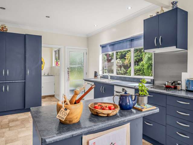 25 Lancaster Street Levin_2