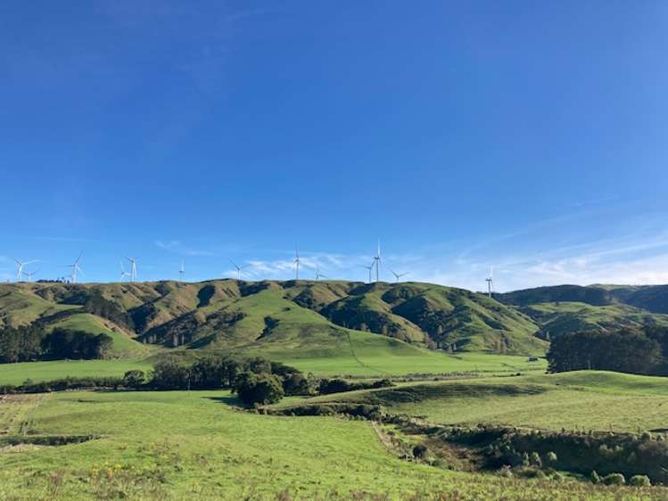 Tararua Road Pahiatua_2