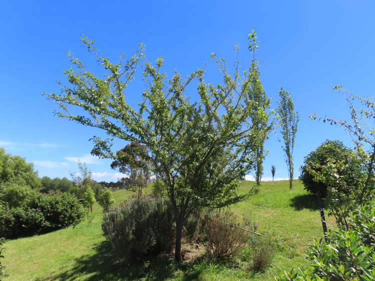 63 Knight Road Dannevirke_23