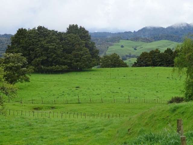 24 Hapa Road Kakahi_2