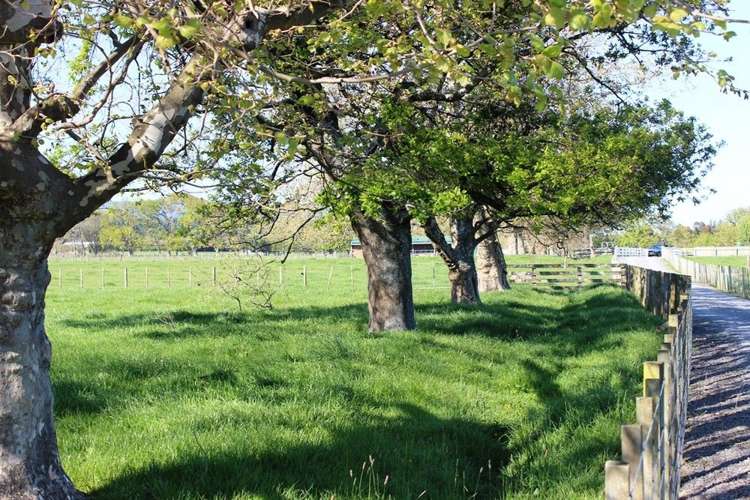 30 Kimberley Road Levin_13