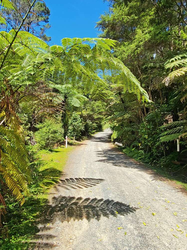 9 Lavinia Place Kawau Island_20