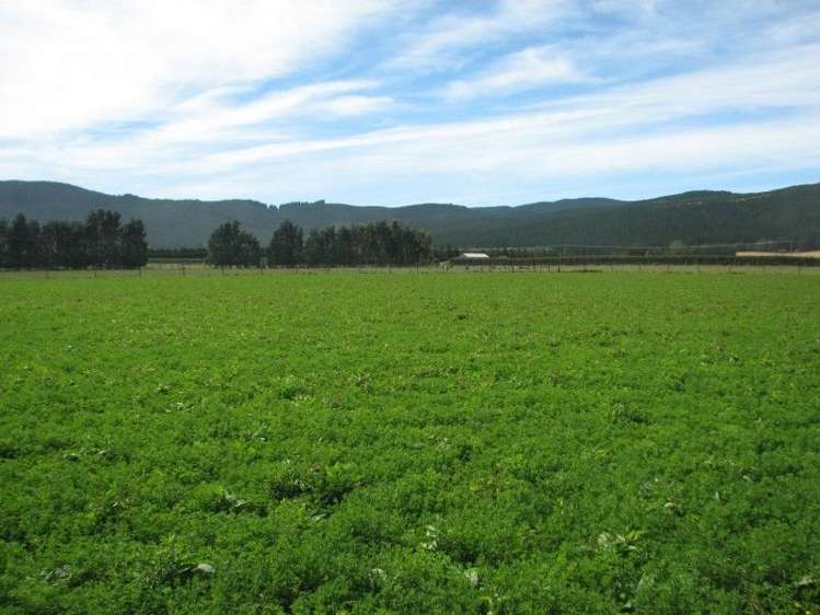 107 West Road Milton_7