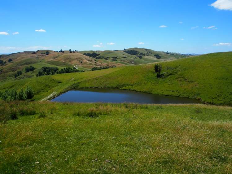 746 Te Awa Road Central Hawkes Bay Coastal_5