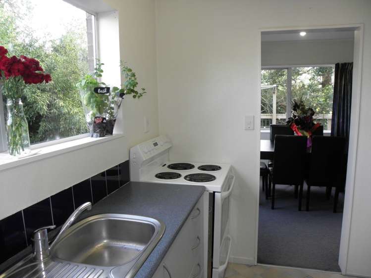 2/45 Seabrook Avenue New Lynn_5