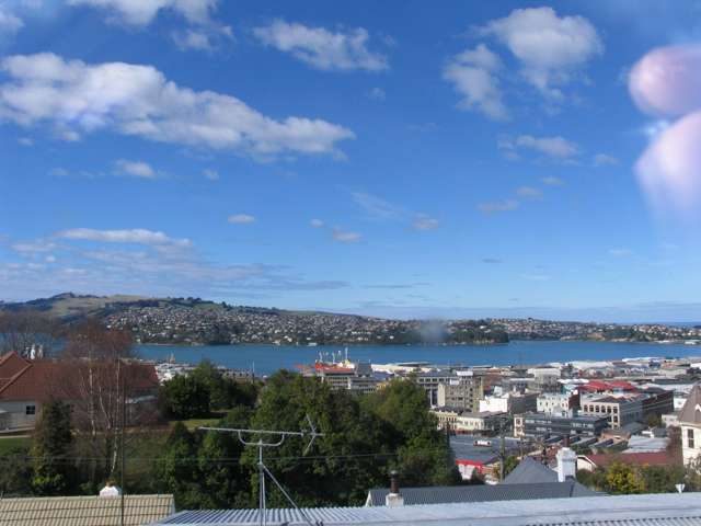 19 Duncan Street Dunedin Central_2