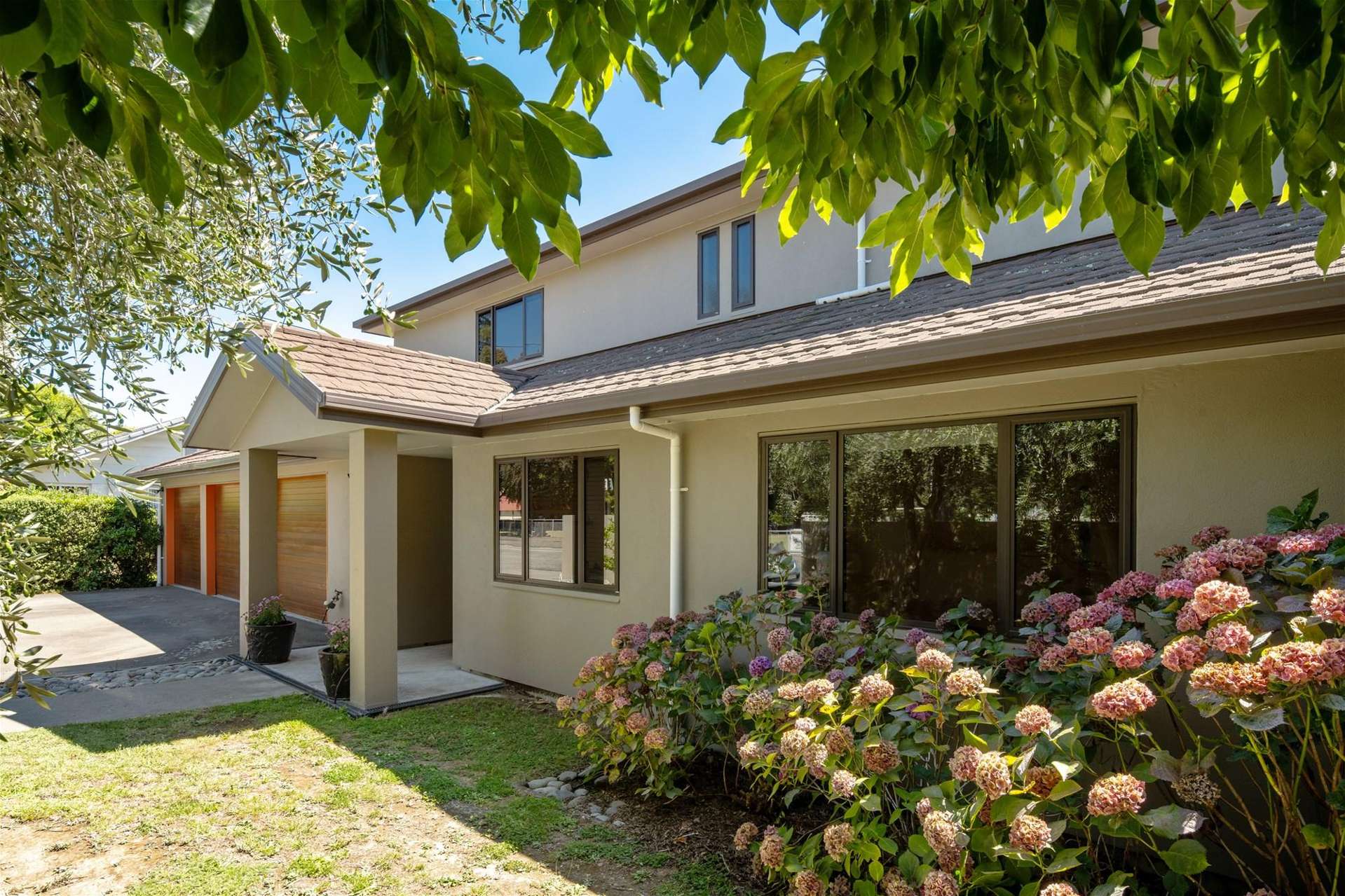 3 Francis Street Blenheim_0