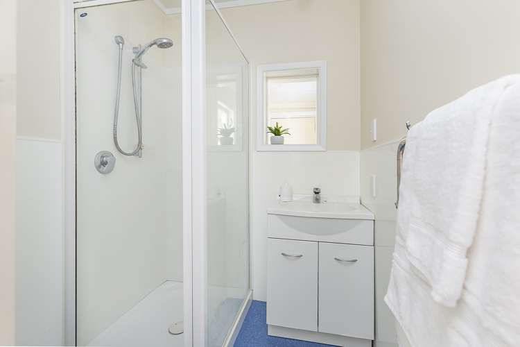 115 Aro Street Aro Valley_7