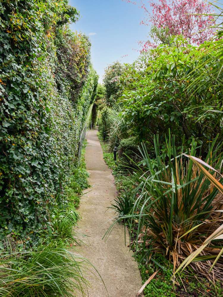 86 Walton Street Kaikorai_12