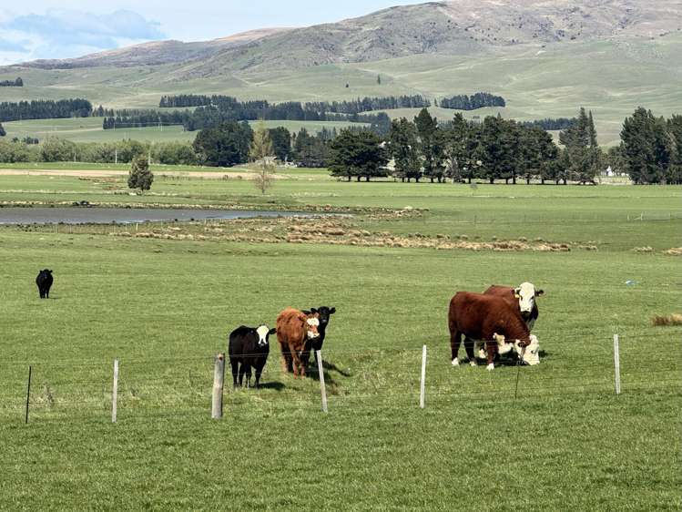 387 Kyeburn-Hyde Road and Preston Road Kyeburn_10