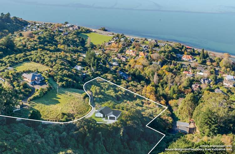 31 Tui Street Saint Leonards_7