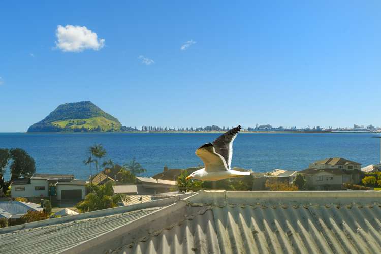 10 Acklam Avenue Otumoetai_1