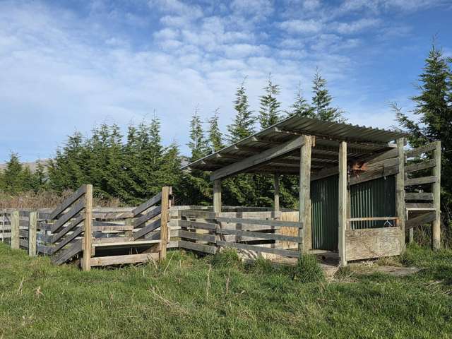 457 Hamilton Road Ashwick Flat_4