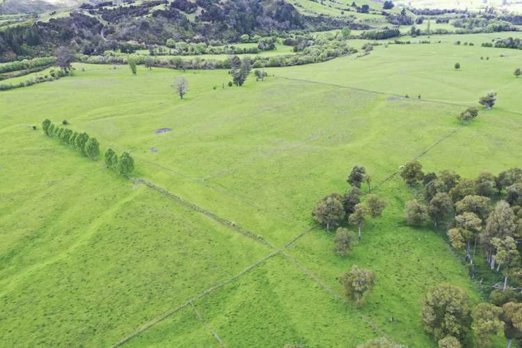 3581 Motueka Valley Highway Kahurangi National Park_15