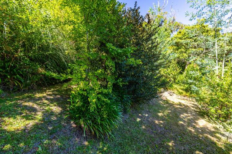 67a York Street Picton_44