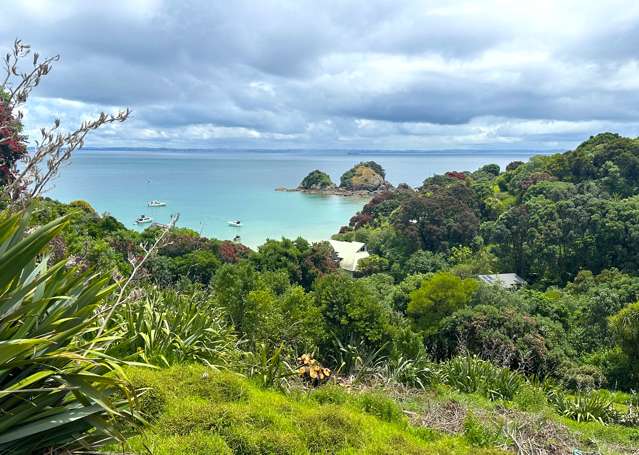 9 Jane York Place Rakino Island_1