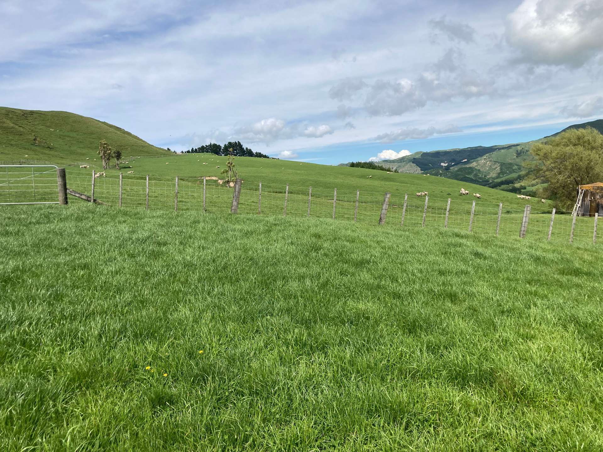 715 Te Apiti Road Waimarama_0