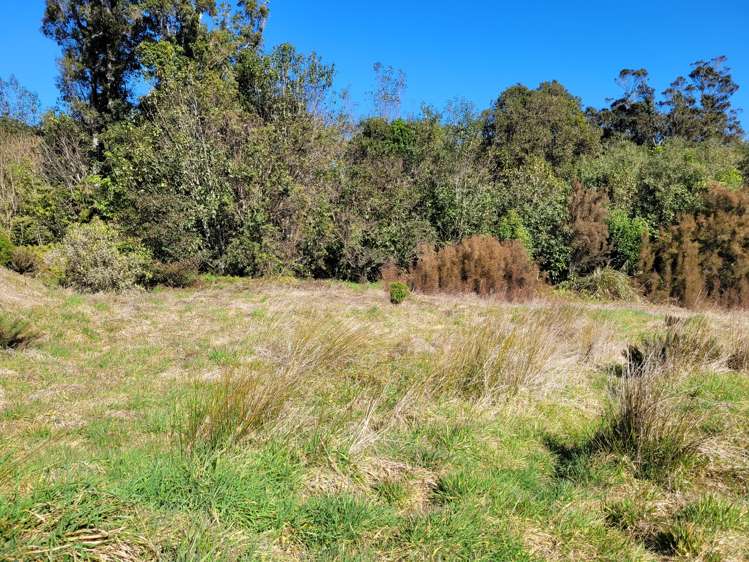 5 Charles Douglas Drive Franz Josef Glacier_7