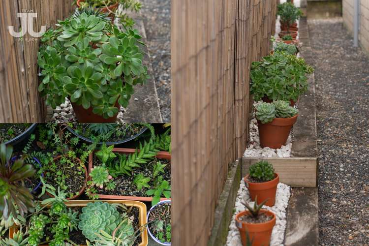 60b Forrester Drive Welcome Bay_16