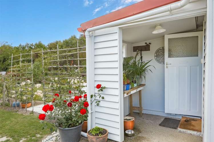 10 Greenfield Street Hector_15