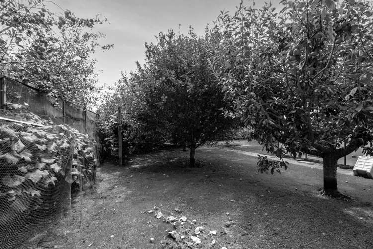 24a Manawapou Road Hawera_31