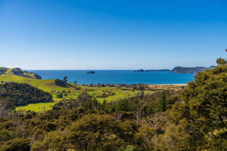 104b Centennial Drive Whitianga_9