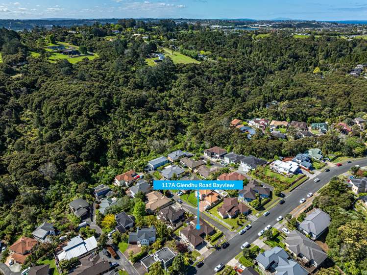 117A Glendhu Road Bayview_23