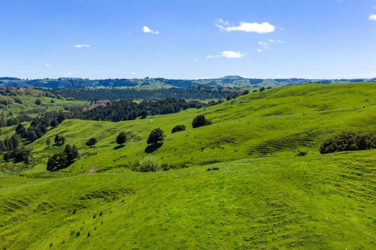 246 Allen and Eyre Road Onewhero_19