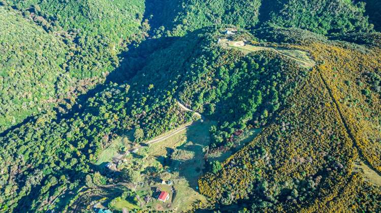 439 Engelbrechts Road Hunter_44